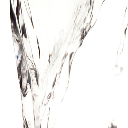 Fleurs de Bach rock water • Beauticae
